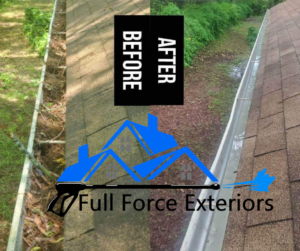 Gutter Cleaning